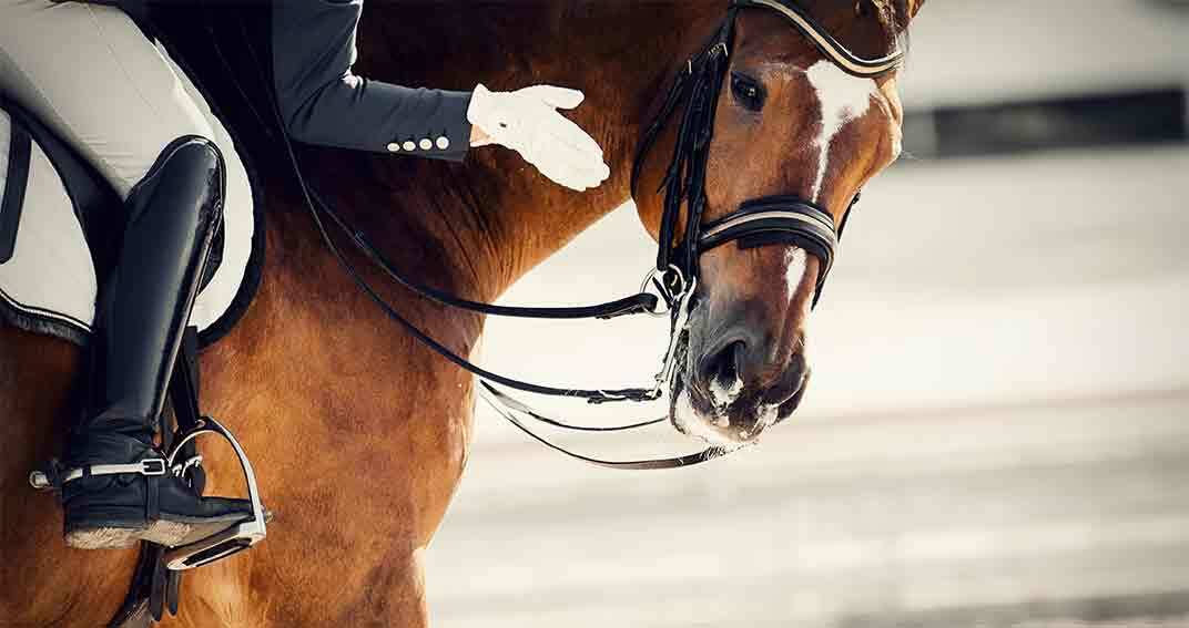 JO de 2024 : plus de respect pour les chevaux ?