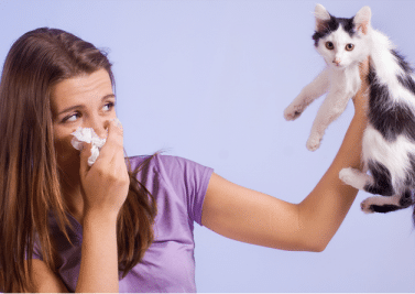 Des rhinites allergiques à l’asthme