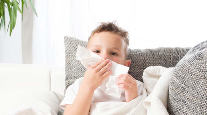 Allergie aux acariens : comment s’en débarrasser ?