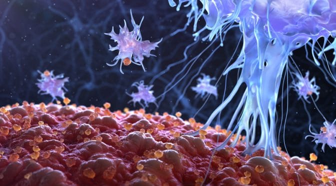Cancer : tous sauvés par l’immunothérapie ?
