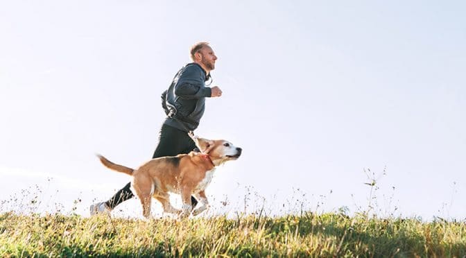 Courir avec son chien, mode d’emploi