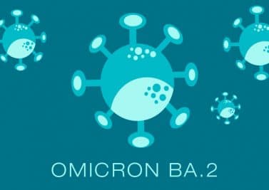 Qui est BA.2, le petit cousin d’Omicron ?