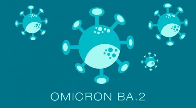 Qui est BA.2, le petit cousin d’Omicron ?