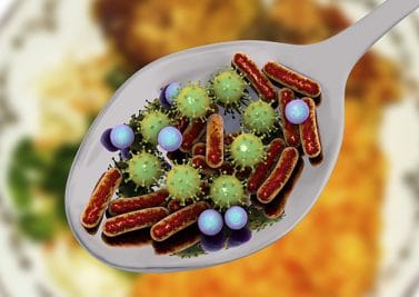 Gare aux bactéries dans nos assiettes