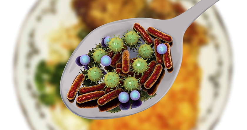 Gare aux bactéries dans nos assiettes